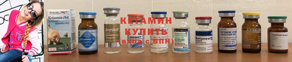 дживик Балахна