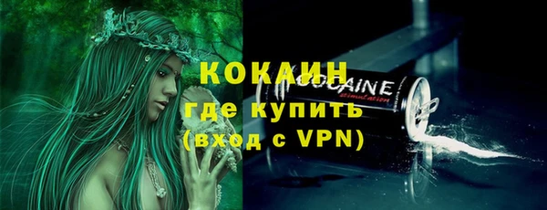 дживик Балахна