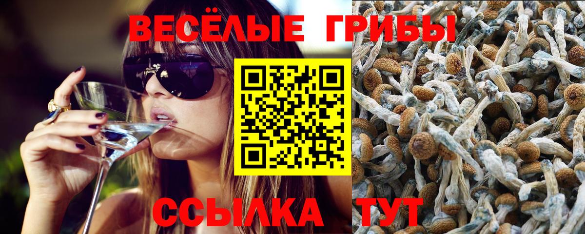 Псилоцибиновые грибы прущие грибы Губкинский
