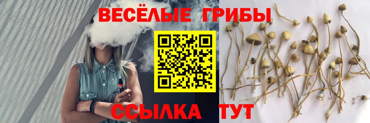 Псилоцибиновые грибы мицелий  Вход с VPN  Губкинский 